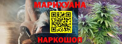 сатива Нальчик