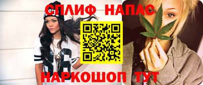 сатива Нальчик
