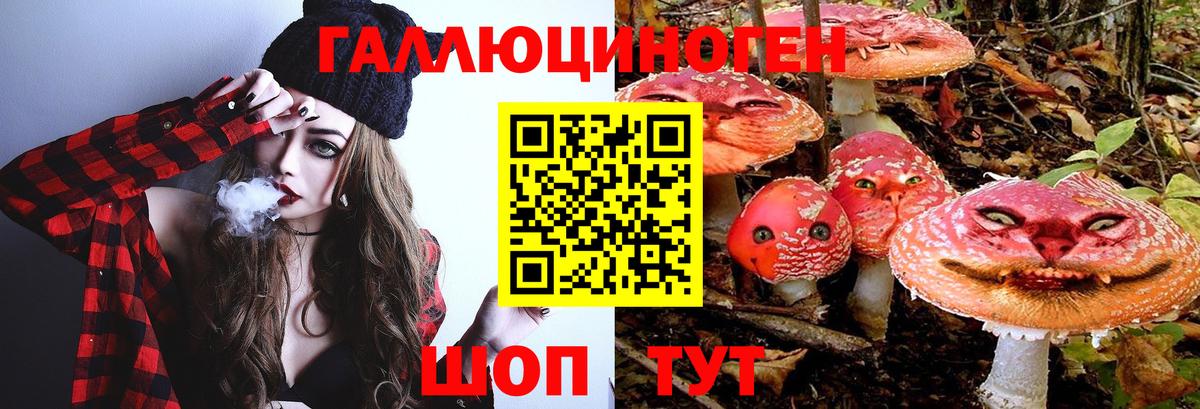 Галлюциногенные грибы Psilocybe Соль-Илецк