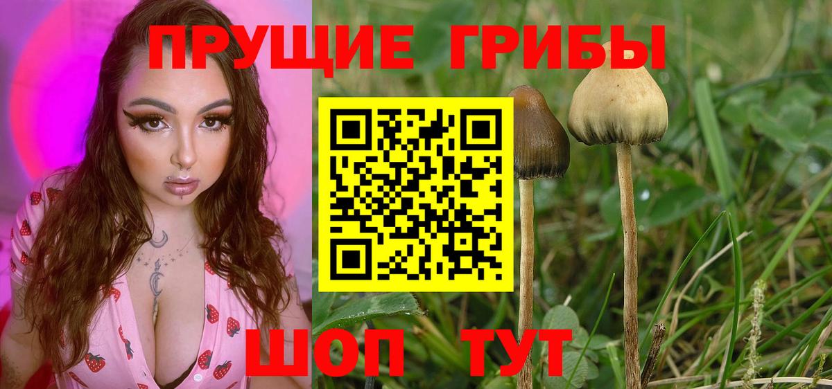 Галлюциногенные грибы мицелий  цена   Соль-Илецк  Вход с VPN 